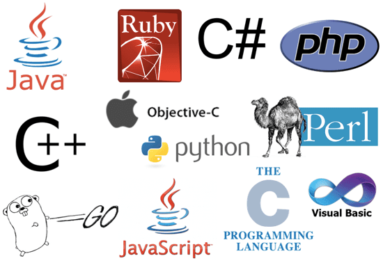 Web Dev